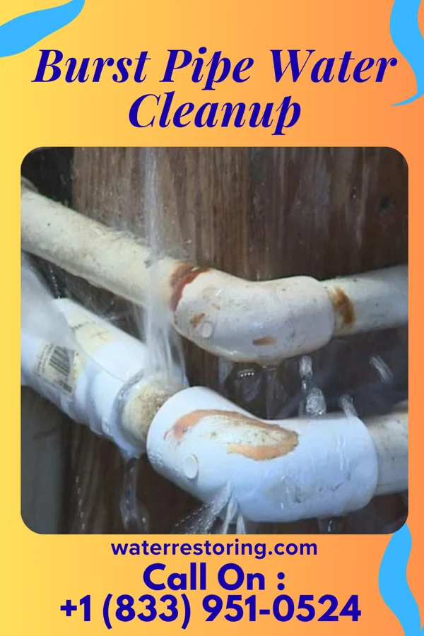 Burst Pipe Water Cleanup in Elma Center, NY