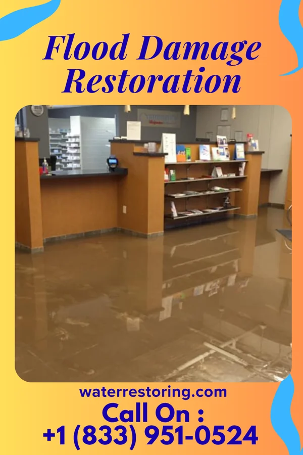 Flood Damage Restoration in Elma Center, NY
