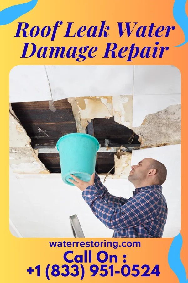 Roof Leak Water Damage Repair in Elma Center, NY