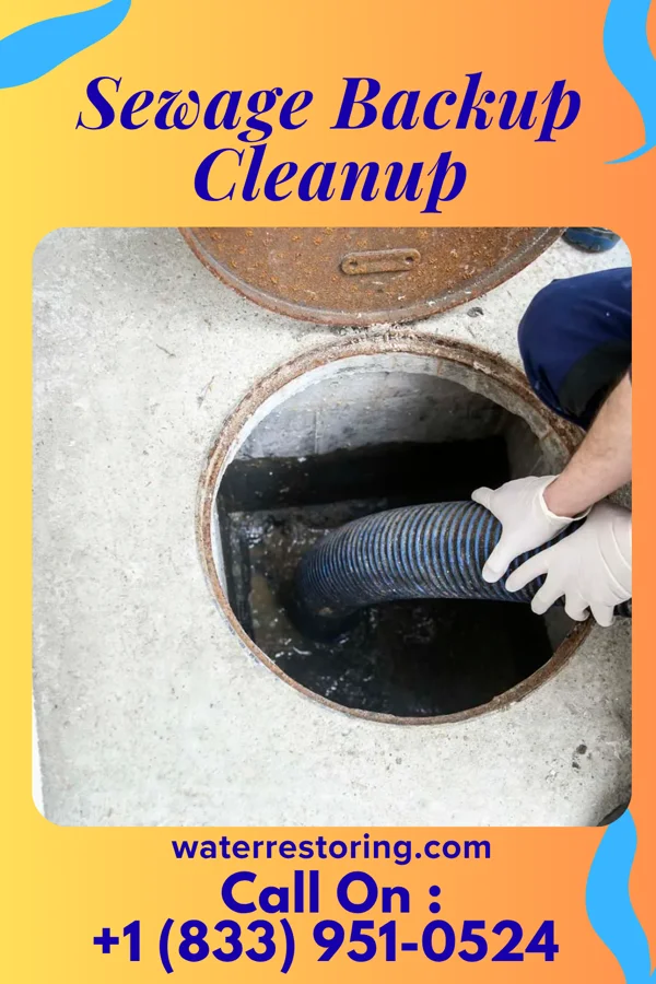 Sewage Backup Cleanup in Elma Center, NY