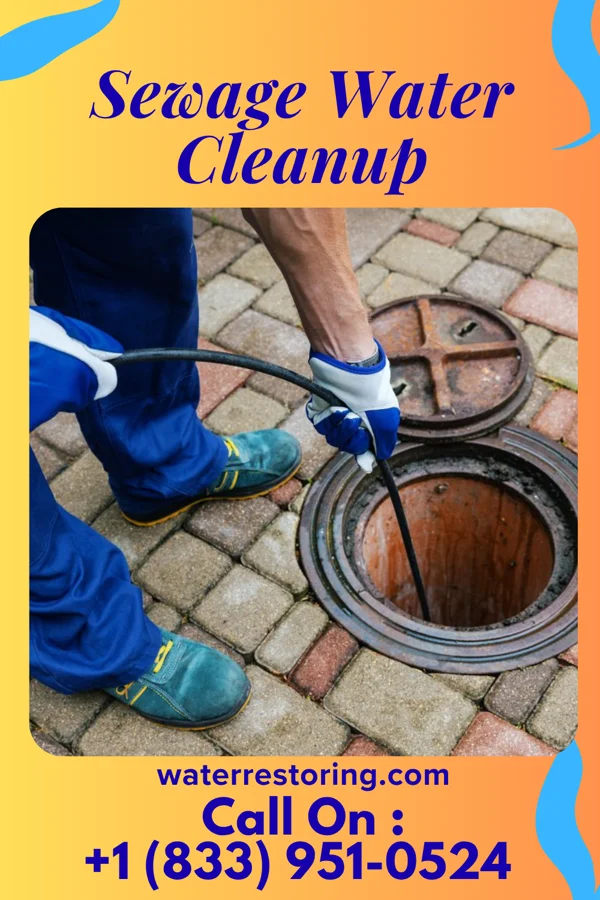 Sewage Water Cleanup in Elma Center, NY