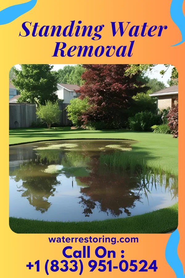 Standing Water Removal in Elma Center, NY